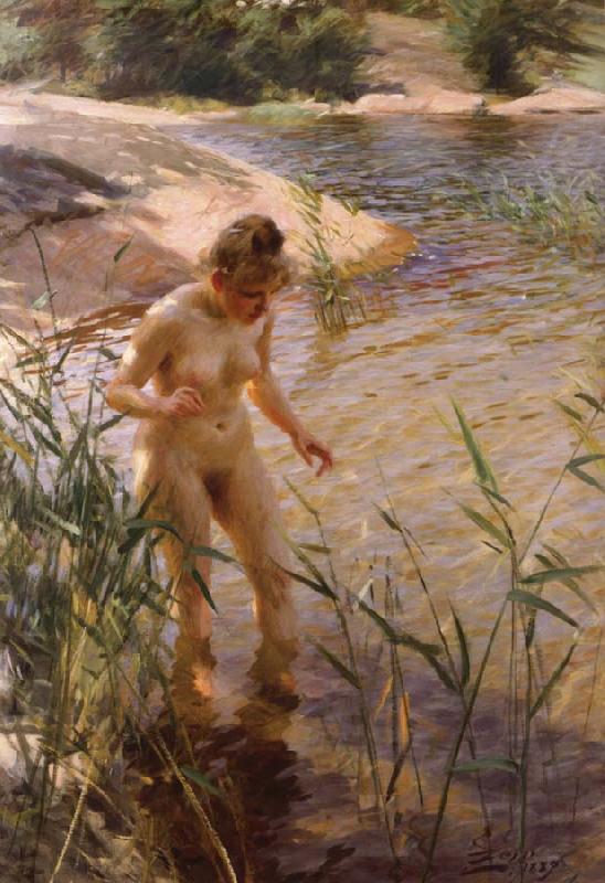 Anders Zorn Reflex oil painting picture